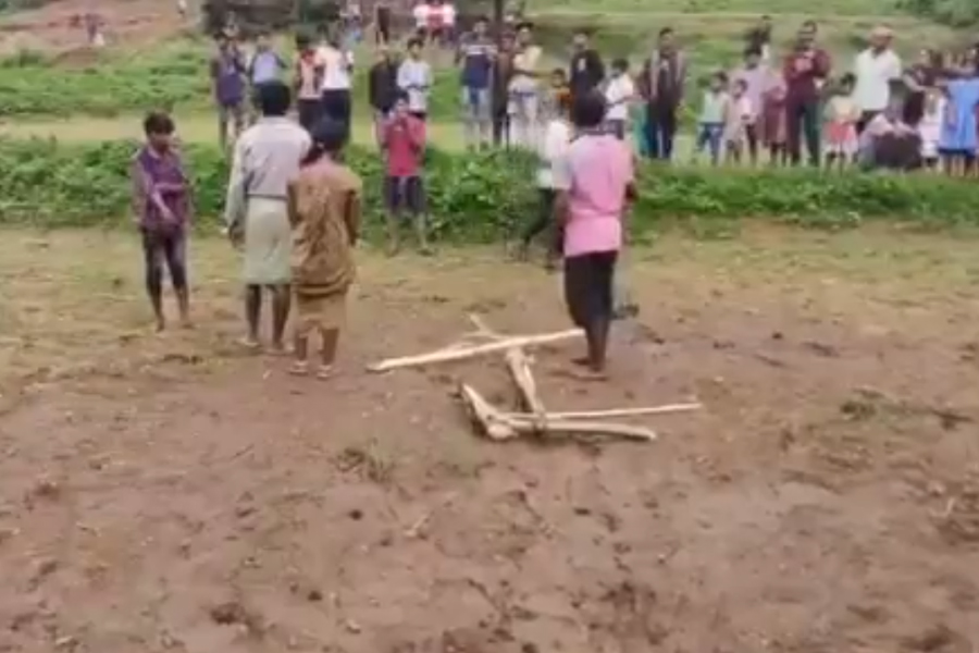 Odisha Couple Tied To Yoke Like Oxen, Made To Plough Field