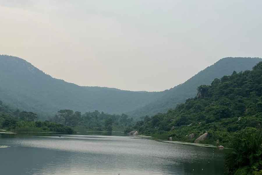Pardi-Lake