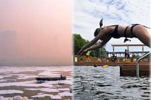 Cleaning of the Seine stands as an example for Delhi to revive its dying Yamuna