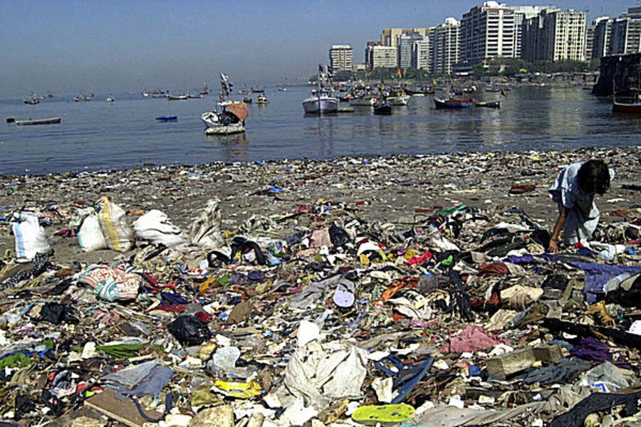 Scientists identify plastic-eating fungus to protect environment