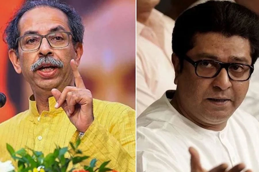 Thackeray brothers to reunite at mega rally