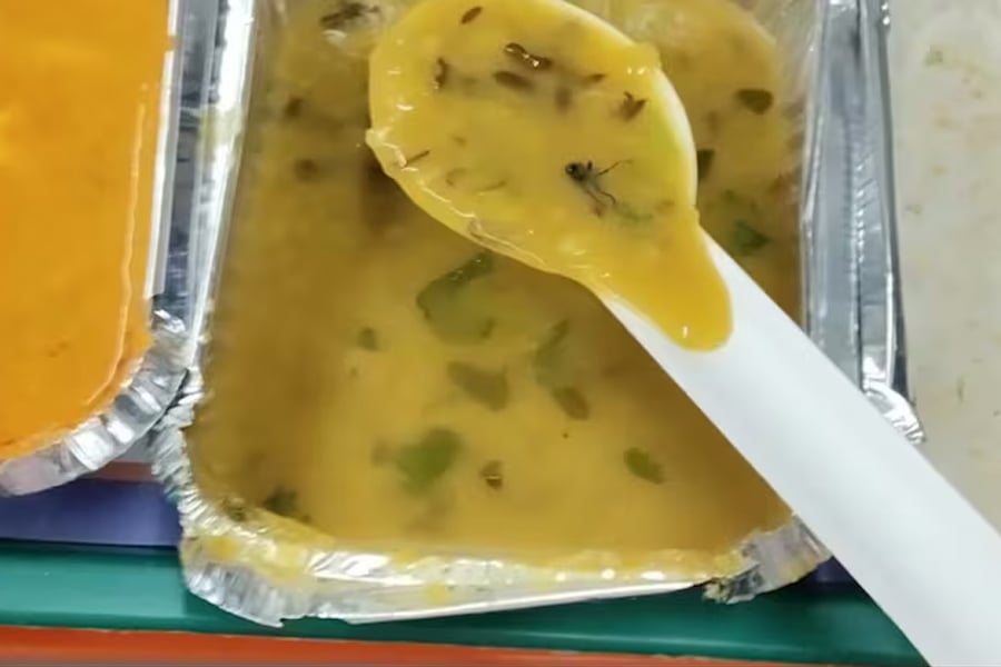 Vande Bharat Express Passenger Finds Insect In Train Meal, Railways Responds
