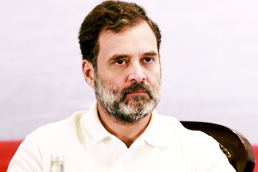Congress Leader Says Rahul Gandhi Could Be "2nd Ambedkar", BJP Mocks Party