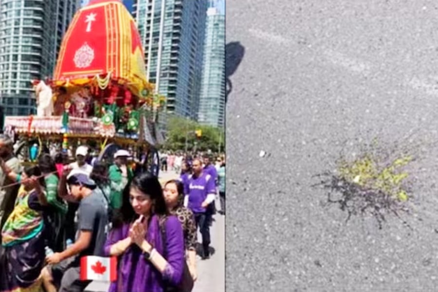 Eggs Hurled At Devotees During Rath Yatra In Canada, MEA Calls Act ‘Despicable’