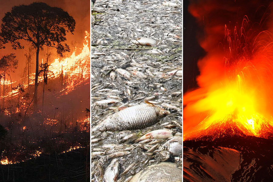 Extreme heatwave in Europe 8 People died