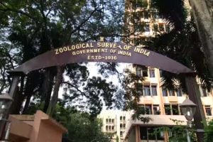 ZSI release Aadhar Card for newly discovered animals