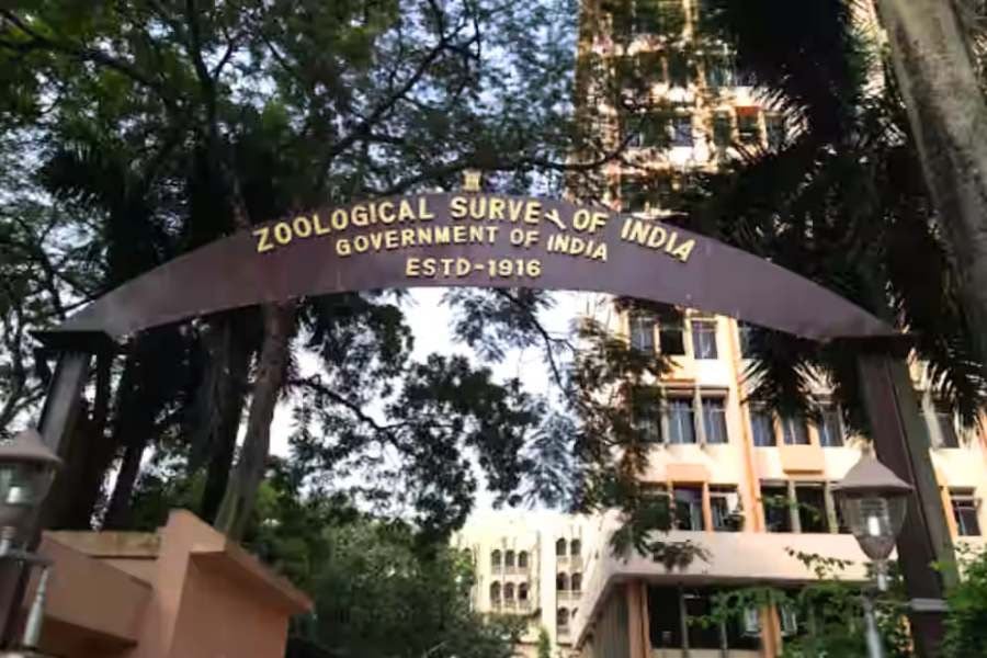ZSI release Aadhar Card for newly discovered animals