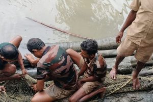 Forest Department rescues crocodile from Patharpratima pond again