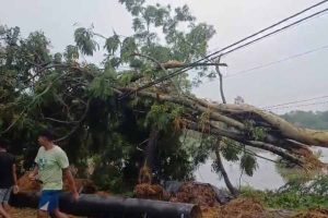 three-minute deluge of storms devastated two villages in Raidighi