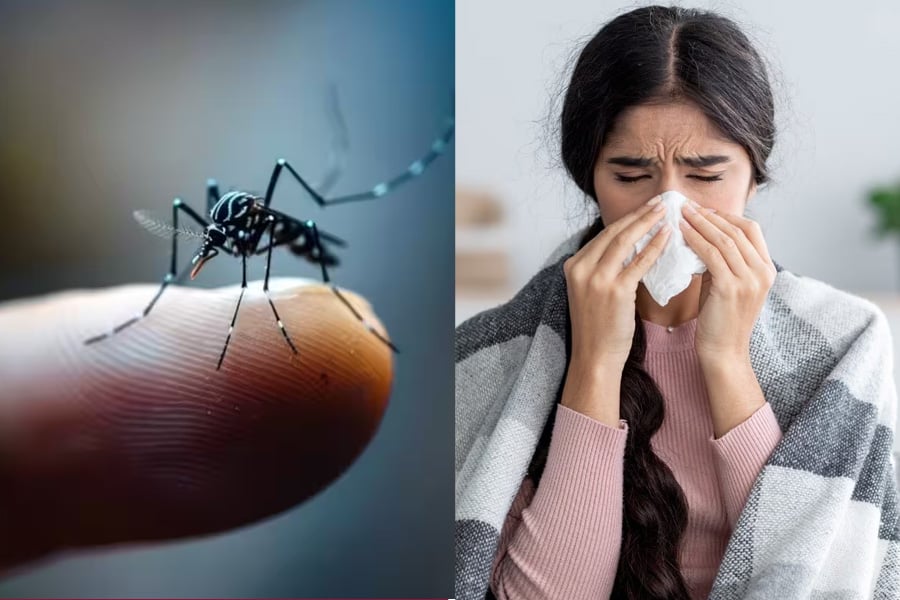 Prescription Plus: Expert tips to protect yourself from Monsoon Diseases