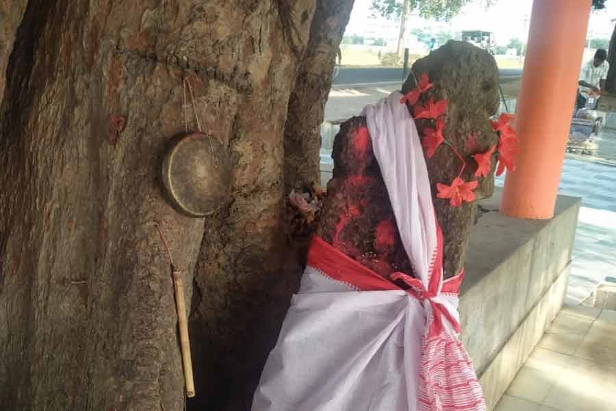 Many towns named after tigers in Purulia