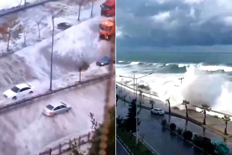 Tsunami waves reach US states