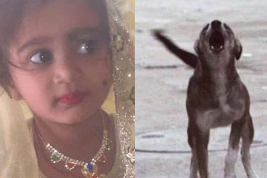 Karnataka Girl Dies Of Rabies Four Months After Stray Dog Bite
