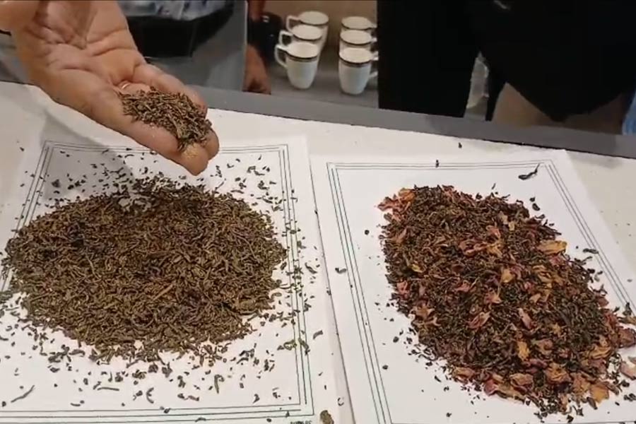 this-tea-brand-cost-lakh-a-kilo-know-the-speciality in Alipurduar