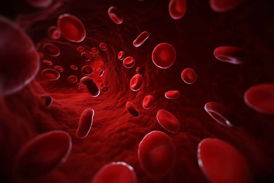 New Blood Group 'CRIB' Found In Bengaluru Woman During Surgery