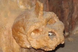 300,000 year old skull found in Greece detected now as new group that lived along Neanderthals
