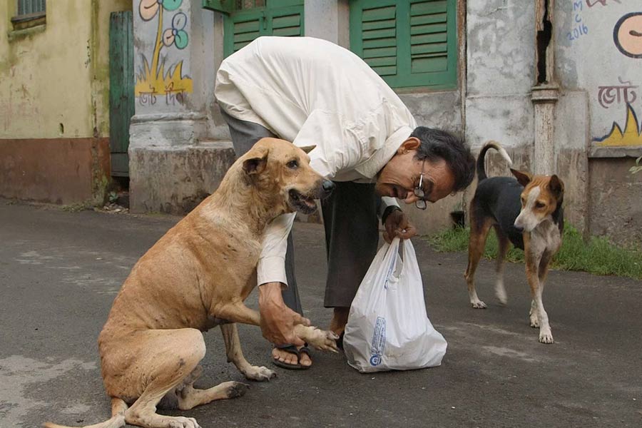 Couple allegedly harrassed and beaten during feeding stray dogs at Belgharia