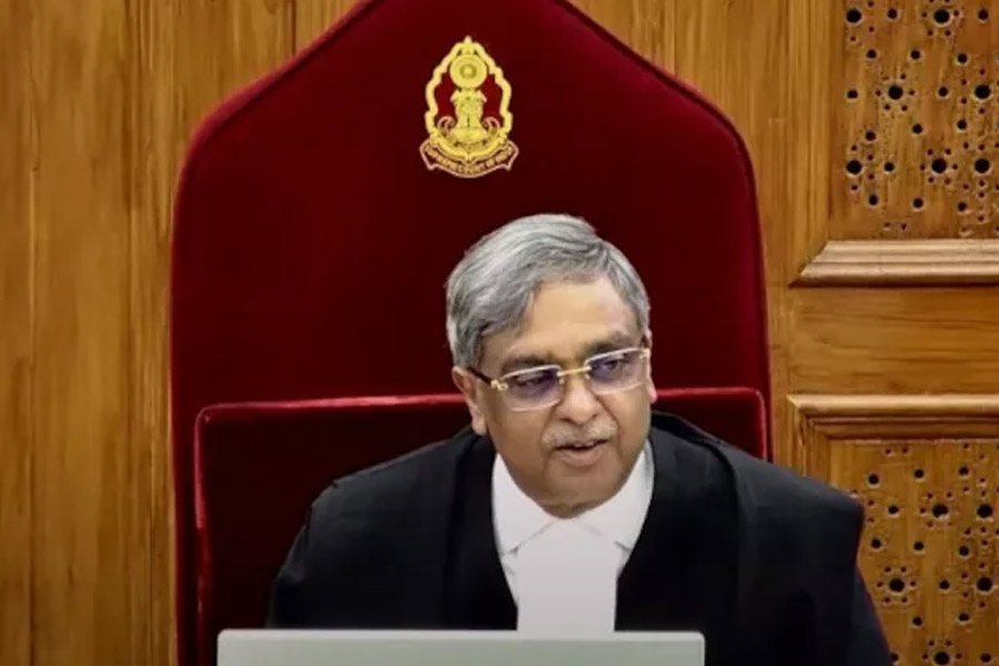 Made Me Famous Across World, Supreme Court Judge On Stray Dog Order