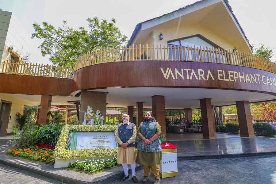 Supreme Court constitutes SIT to investigate Vantara, how it acquires animals