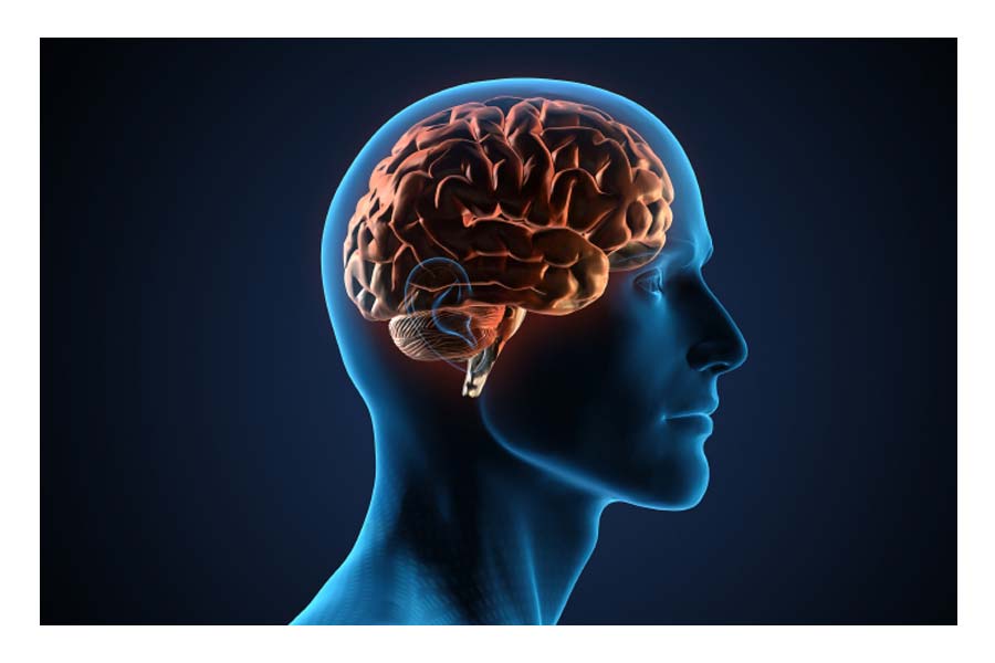 According to CDC research, brain fog is closely linked to people's eating habits