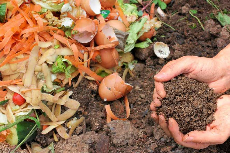 some tips for your garden