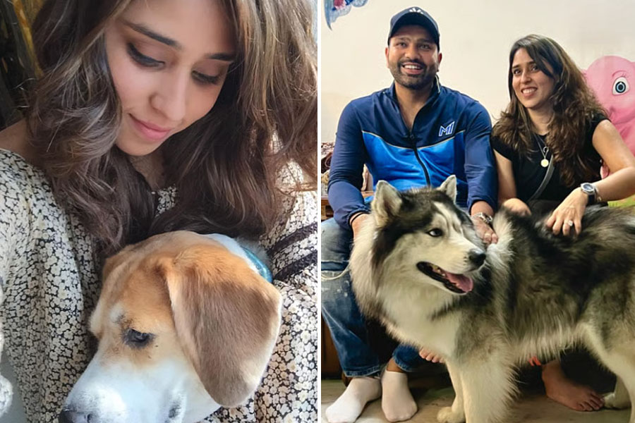 Rohit sharma's wife are angry over the Supreme Court's order on street dogs.
