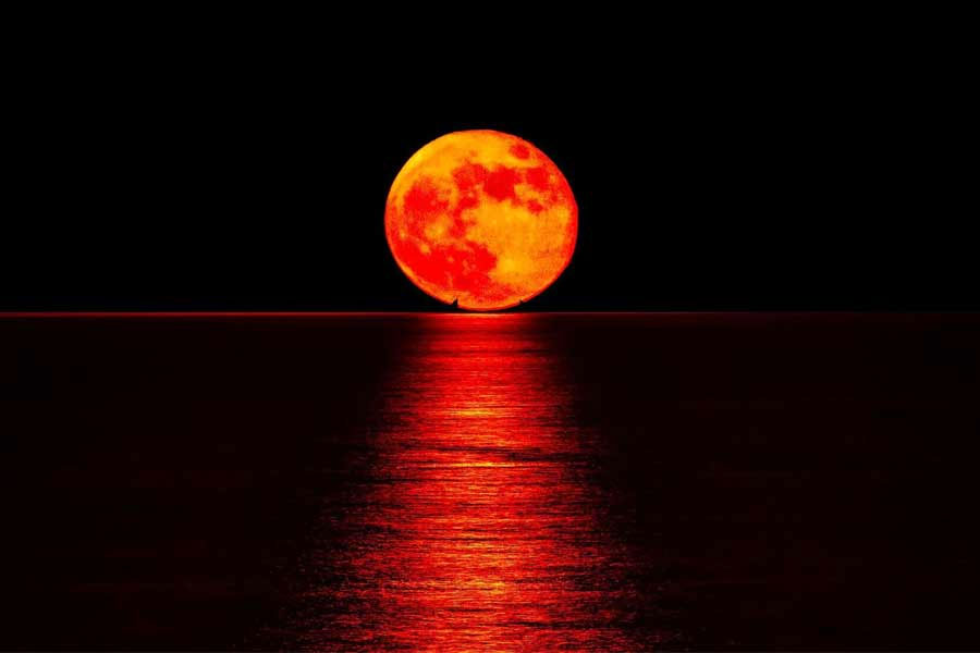 Science Forum to show 'Blood Moon' through telescope