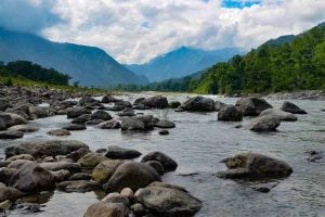 Durga Puja Travel: Dooars trip gets cheaper during Durga Puja