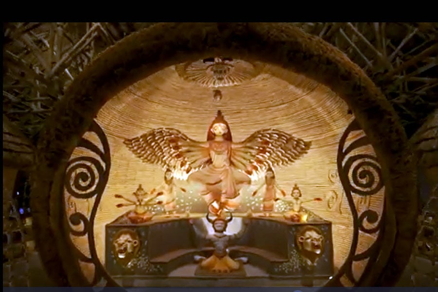 Banglar Durga Puja: Durga Puja theme based on conserving birds on difficult environment
