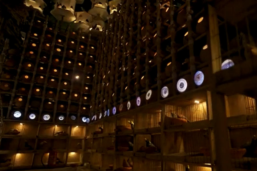 Icche-Dana-Pandal