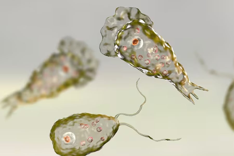 Death toll from 'brain-eating' amoeba outbreak in Kerala rises to 19, what is this rare disease