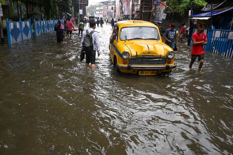 Natural Calamities and the City