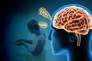 amoeba attack on human in kerala, fear in bengal during tarpan