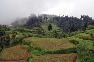 Durga Puja Travel: north bengal offbeat destination Dilaram