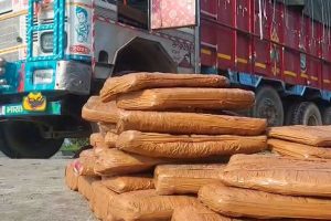 weed worth lakhs of rupees recovered in Jalpaiguri