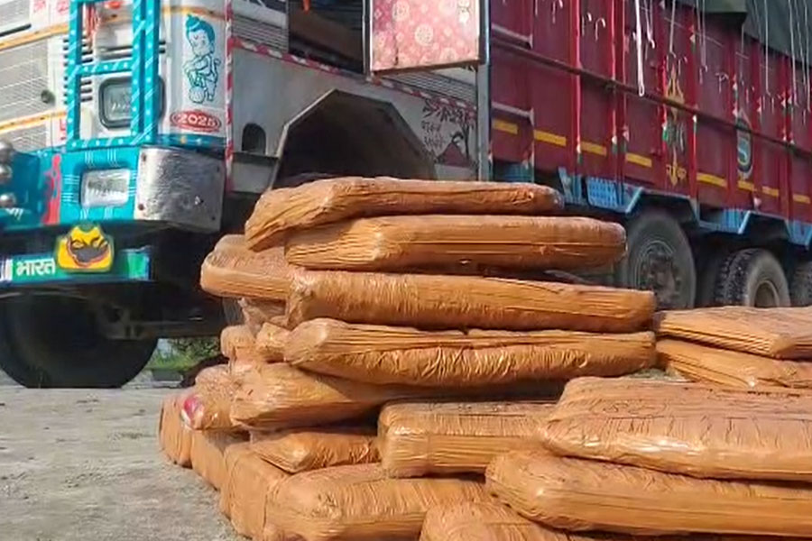 weed worth lakhs of rupees recovered in Jalpaiguri