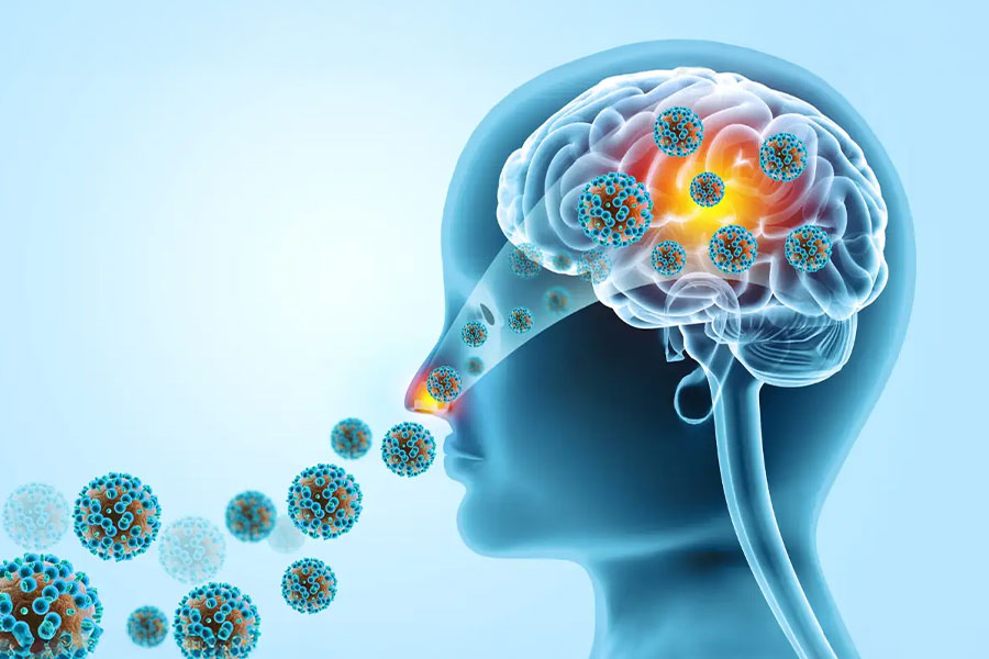 Now 2 More Died Of Rare Brain Infection In Kerala