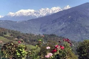 Durga Puja Travel: Pabang in kanchenjunga should be the destination for bengali in this Puja