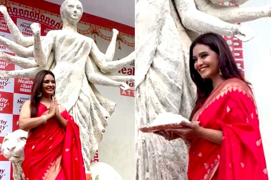 Kolkata Durga Puja: Emami Healthy & Tasty celebrates Durga Puja with a unique idol of Maa Durga crafted from atta