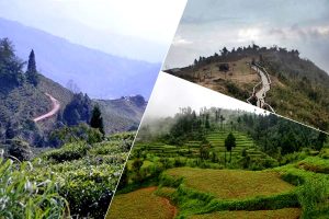Durga Puja Travel: north bengal offbeat destination Dilaram