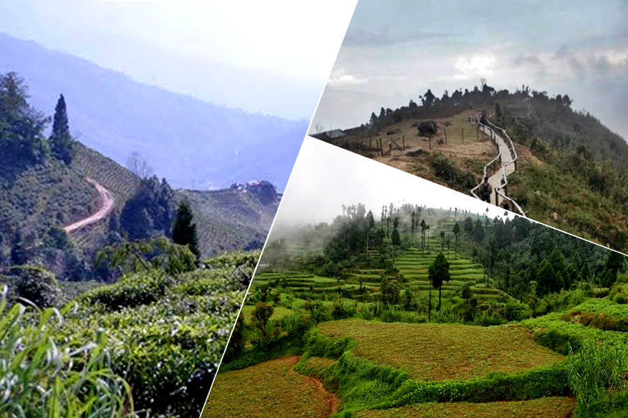 Durga Puja Travel: north bengal offbeat destination Dilaram