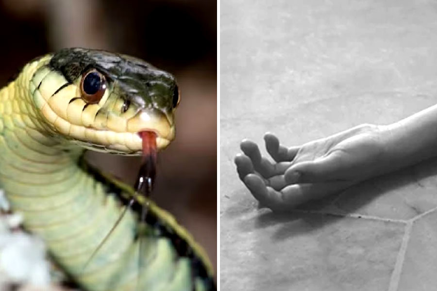 A toddler allegedly dies from a snake bite in North 24 Parganas