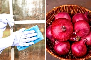 Lifestyle News: Onion cleaning hack: How to make your windows sparkle natura