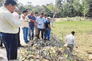 Team of agriculture specialists visit Alipurduar to examine the effect of dolomite after flash flood there