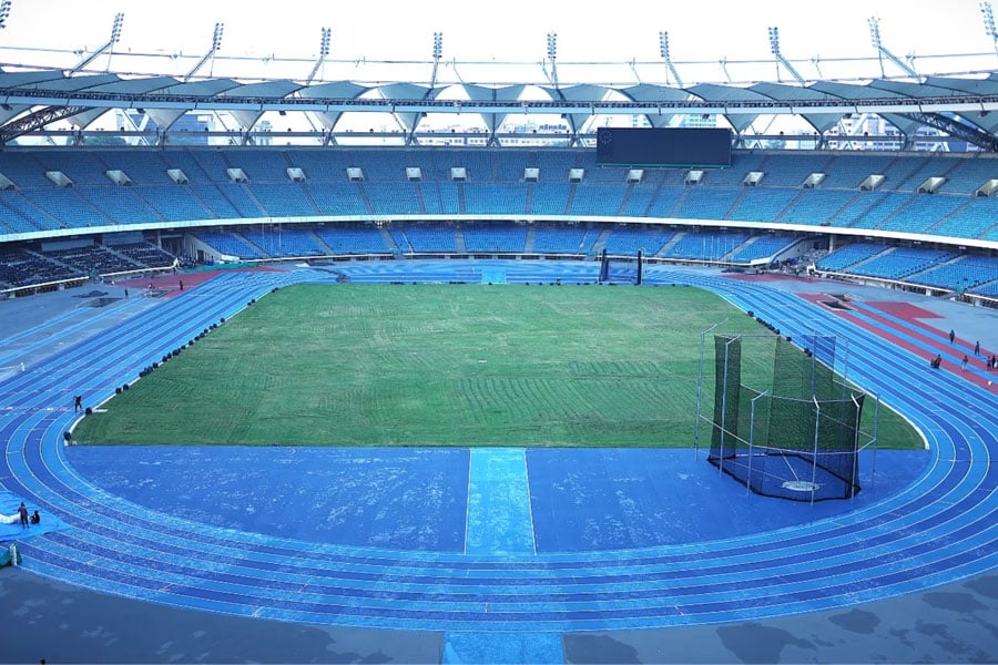 Stray dogs bite foreign coaches at World Para Athletics Championships in Delhi