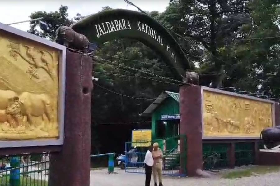 DFo hints the time of opening Jaldapara National Forest for tourism after disaster