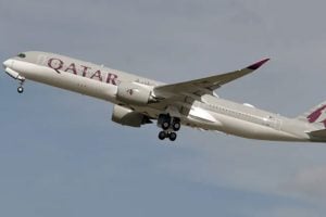 A Qatar Airways Vegetarian Passenger Chokes To Death After Being Told To 'Eat Around' Meat-Based Meal
