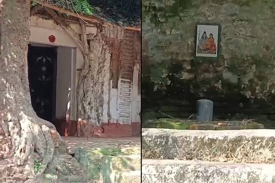 Kali Puja 2025: This Kali puja of South Dinajpur is almost 600 years old
