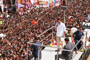 BJP slams the stampede in actor Vijay's rally