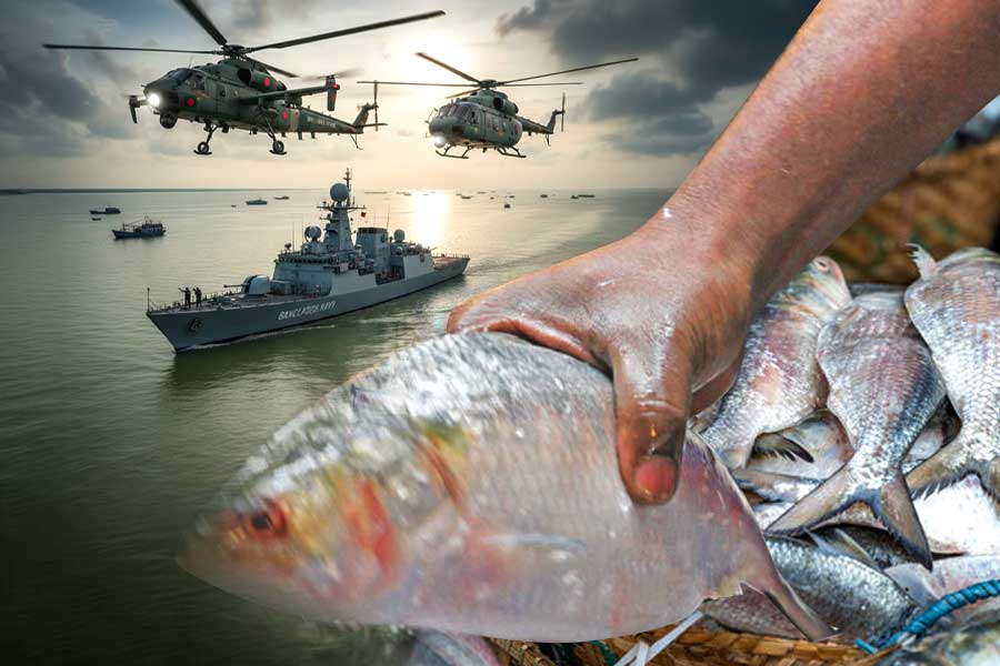 Bangladesh Deploys Warships, Patrol Aircraft To Protect Its Hilsa Fish